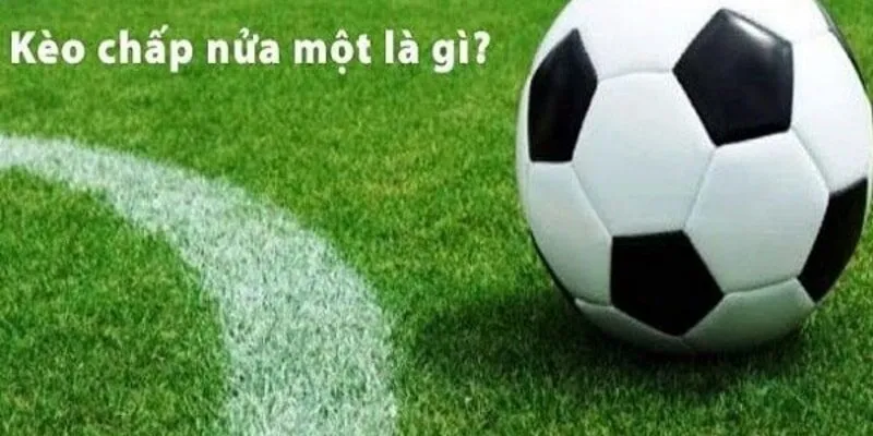 Giải mã kèo nửa một là gì?